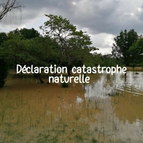 Reconnaissance de l'état de catastrophe naturelle