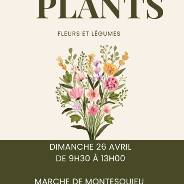 Vente de plants